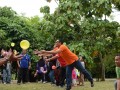 Tn dsc 9231